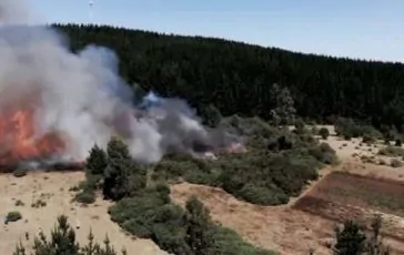 featured 3181573 364x230