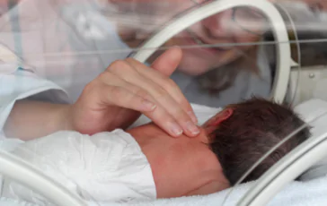 featured 3181856 364x230