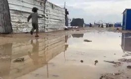 featured 3183607 265x160