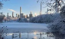 featured 3196354 265x160