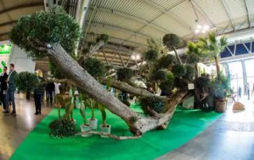 featured 3196929 364x230