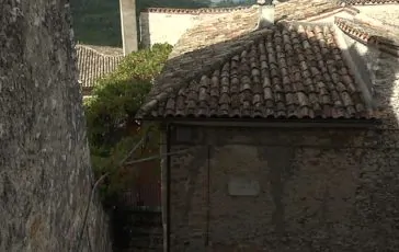 featured 3197223 364x230