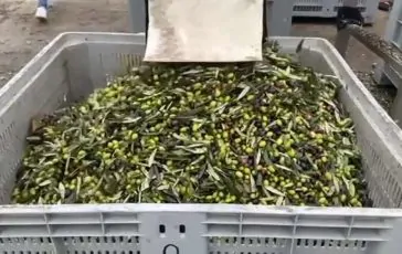 featured 3197862 364x230