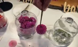 featured 3198139 265x160