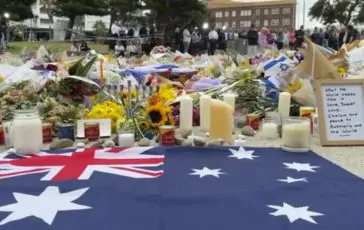 featured 3199926 364x230