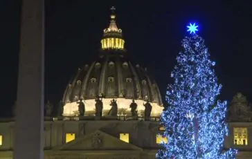 featured 3199984 364x230