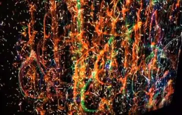 featured 3201118 364x230