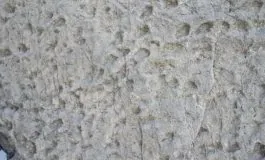 featured 3201584 265x160