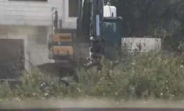 featured 3201659 265x160