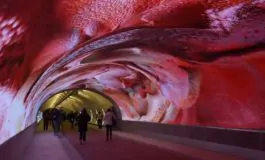 featured 3203068 265x160