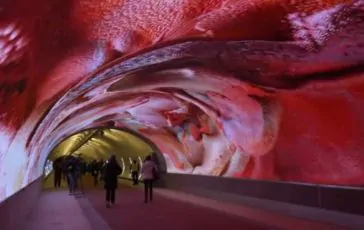 featured 3203068 364x230