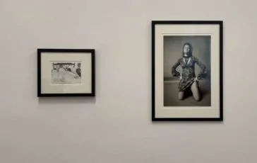 featured 3203138 364x230