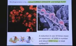 featured 3203184 265x160