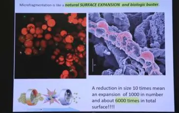 featured 3203184 364x230