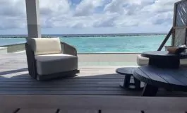 featured 3203659 265x160