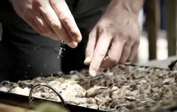 featured 3203709 364x230