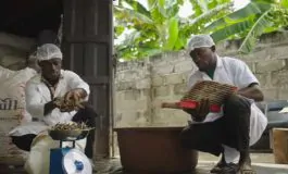 featured 3203952 265x160