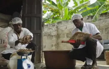 featured 3203952 364x230