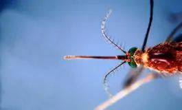 featured 3204199 265x160