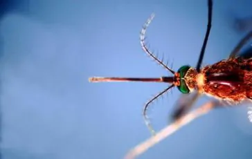 featured 3204199 364x230