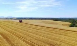 featured 3207014 265x160