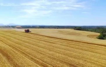 featured 3207014 364x230