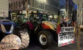 featured 3208060 265x160