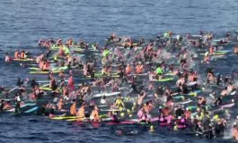 featured 3214052 265x160