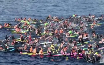 featured 3214052 364x230