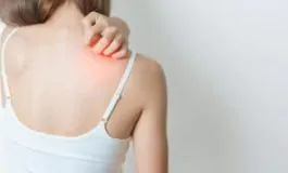 featured 3214569 265x160