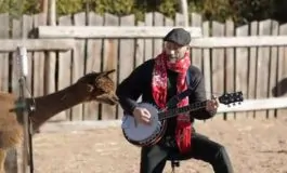 featured 3215080 265x160