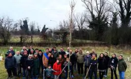 featured 3215706 265x160