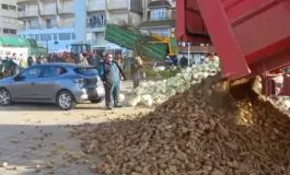 featured 3215997 265x160