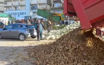 featured 3215997 364x230