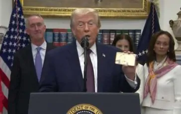 featured 3220023 364x230