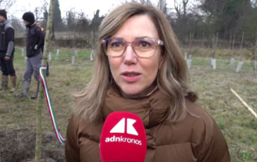 featured 3220248 364x230