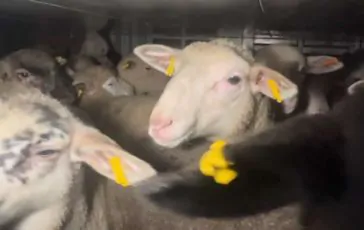 featured 3226269 364x230