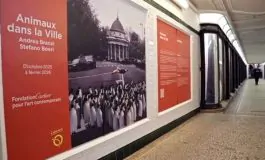 featured 3226528 265x160