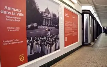 featured 3226528 364x230