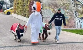 featured 3228088 265x160