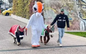 featured 3228088 364x230