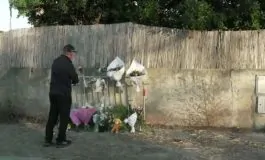 featured 3238537 265x160