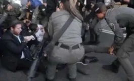 featured 3238877 265x160