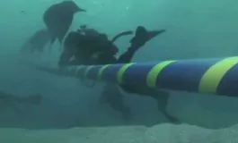 featured 3239254 265x160