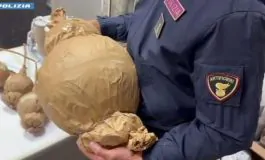 featured 3244705 265x160