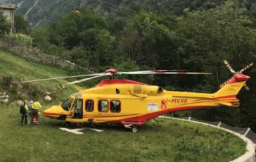 travolta mandria mucche