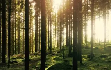 001-padre-ammette-lontananza-affetti-più-cari