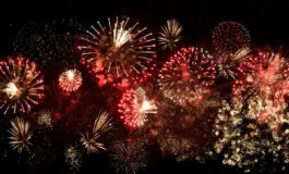 botti capodanno morto cane