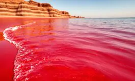 le incredibili acque rosse dellisola di hormuz in iran un paradiso naturale da scoprire 1765985281 265x160
