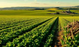 misure di salvaguardia per lagricoltura dellunione europea nellaccordo mercosur 1765895610 265x160